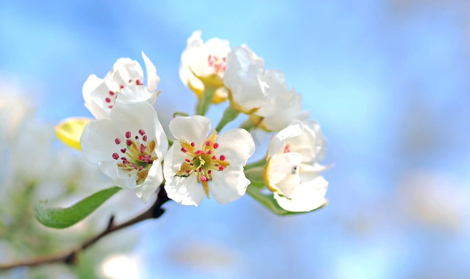 Simplicity carried to an extreme becomes elegance.